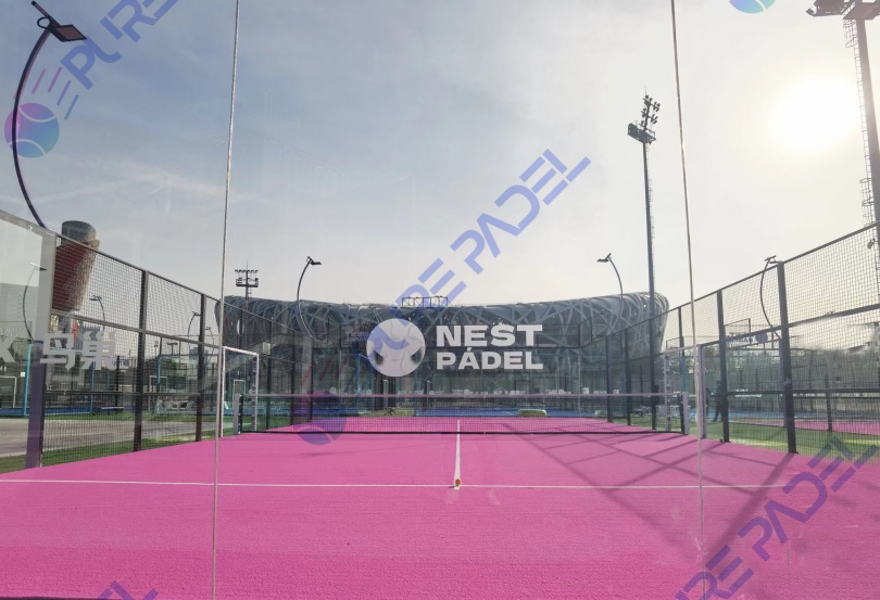 purepadel5